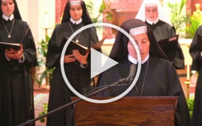 Honoring Mary Our Mother