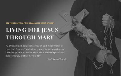 A New Site for the Brothers!