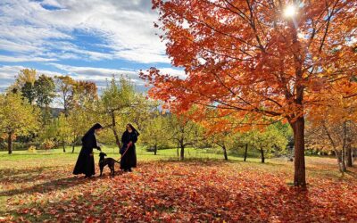 October at the Monastery