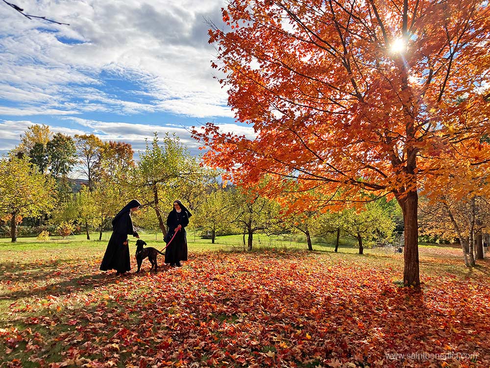 Enjoying the autumn beauty! Enjoying the autumn beauty!