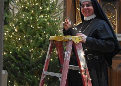 Sanctuary Trees - Christmas 2025