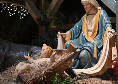 Outdoor Infant - Christmas 2025